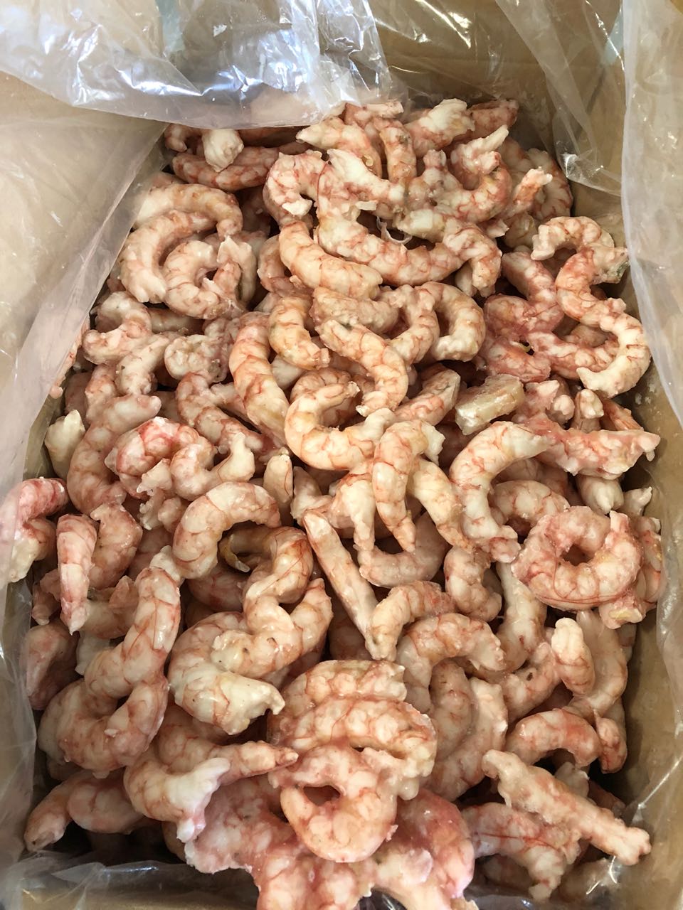 Argentine Red Shrimp